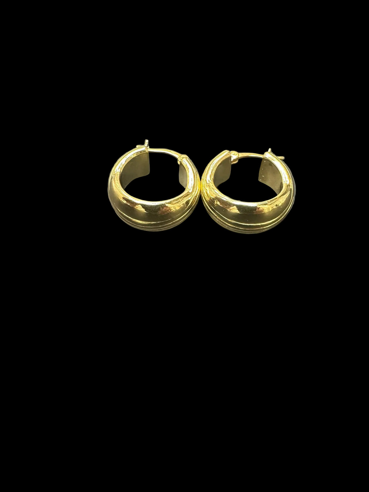 Sterling Silver Round Earring Gold Plated ECZ100105
