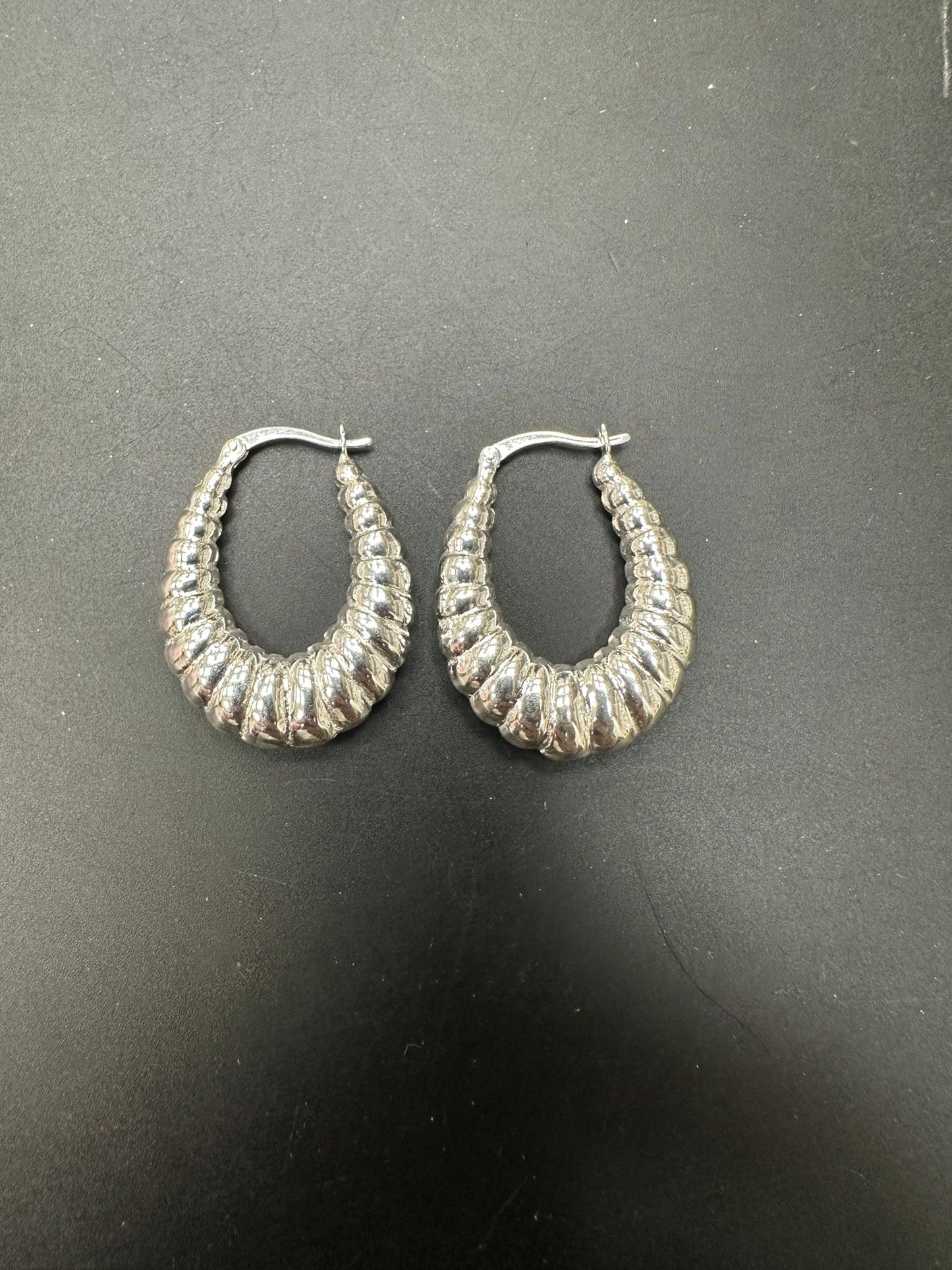 Sterling Silver Earring ECZ100119