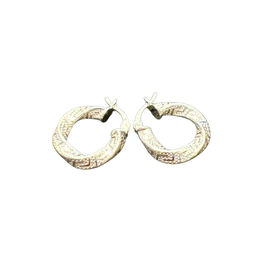 Sterling Silver Earring ECZ100121