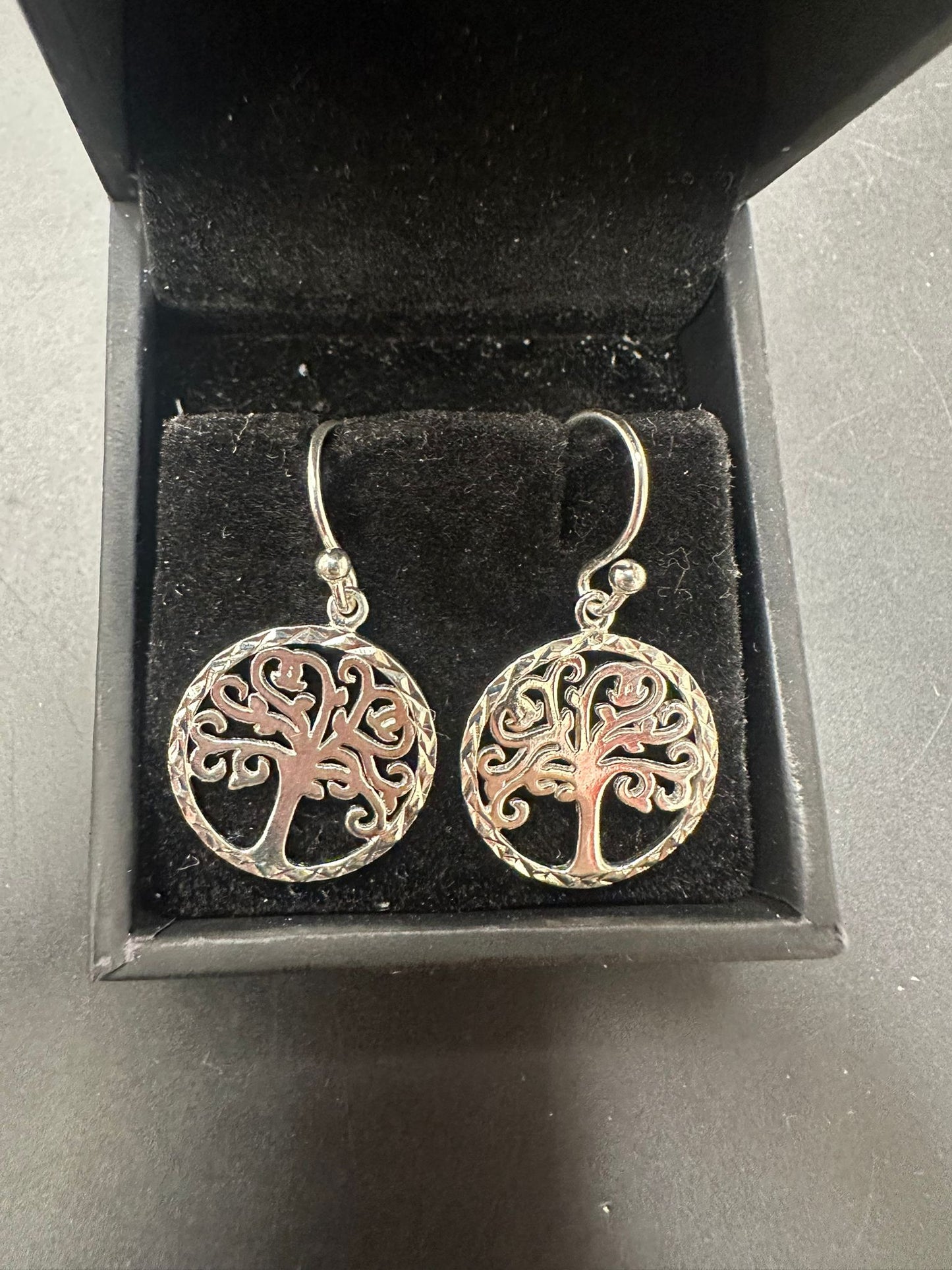 Sterling Silver Plain Earring EP10217