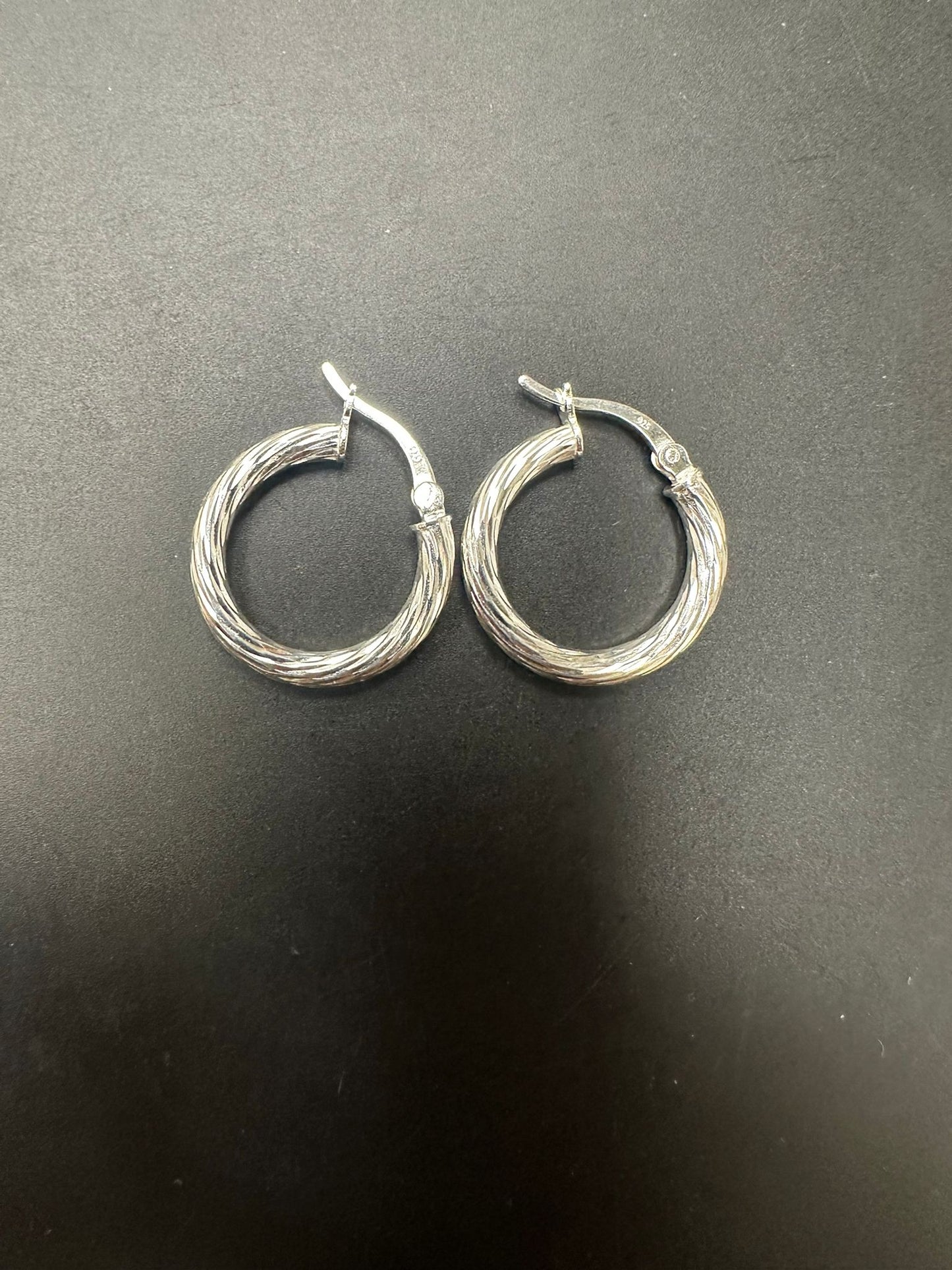 Sterling Silver Round Hoop Earring EP10282