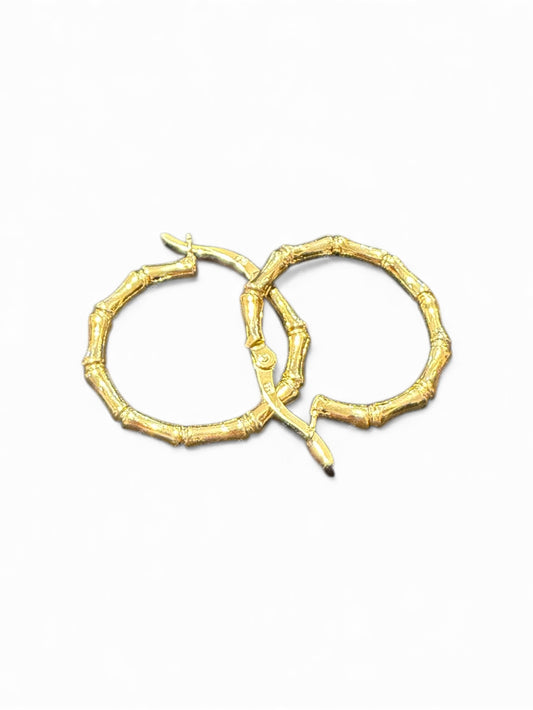 Sterling Silver Earring – Gold Plated