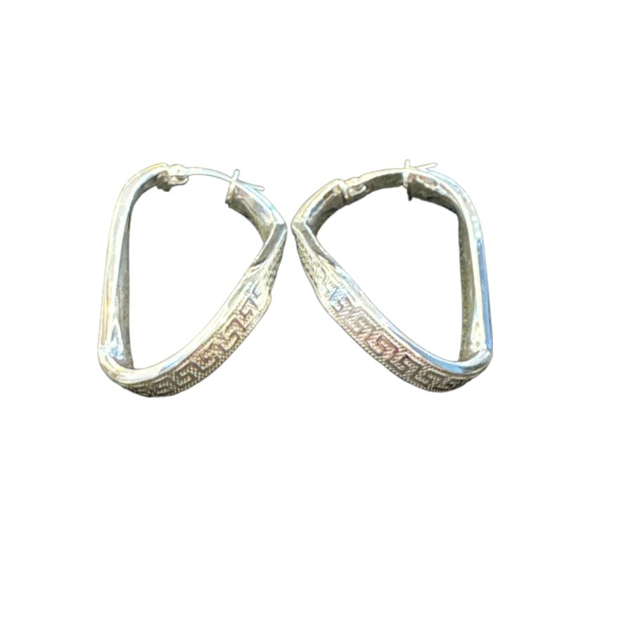 Sterling Silver Plain Earring EP821