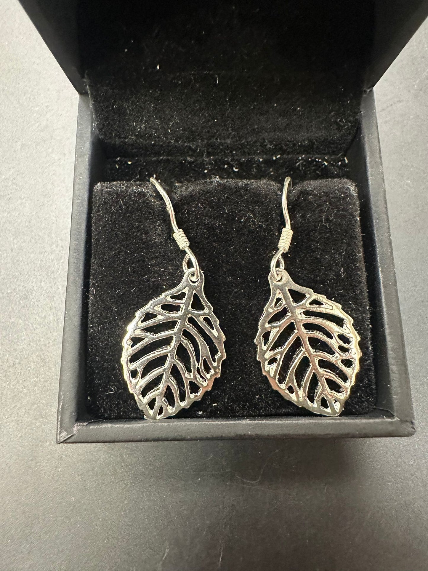 Sterling Silver Plain Earring PE020180255