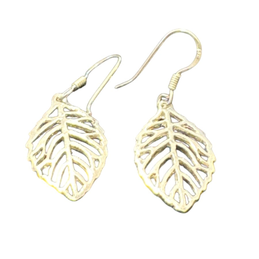 Sterling Silver Plain Earring PE020180255