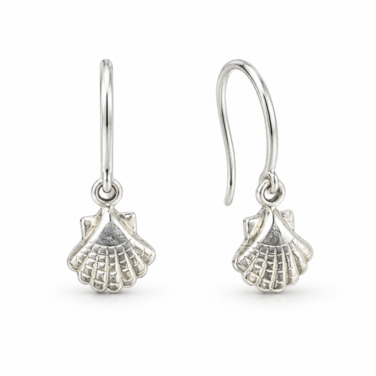 Sterling Silver Plain Earring PE019250520