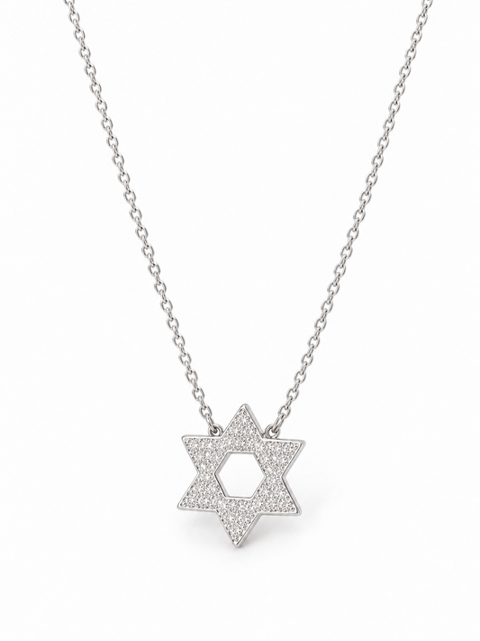Sterling Silver Star Of David Necklace NCZ9102
