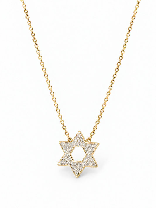 Sterling Silver Star Of David Necklace NCZ9102