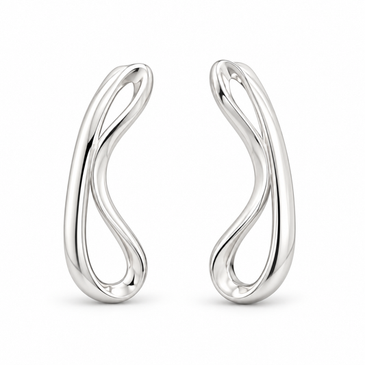 Sterling Silver Earring ECZ0865901