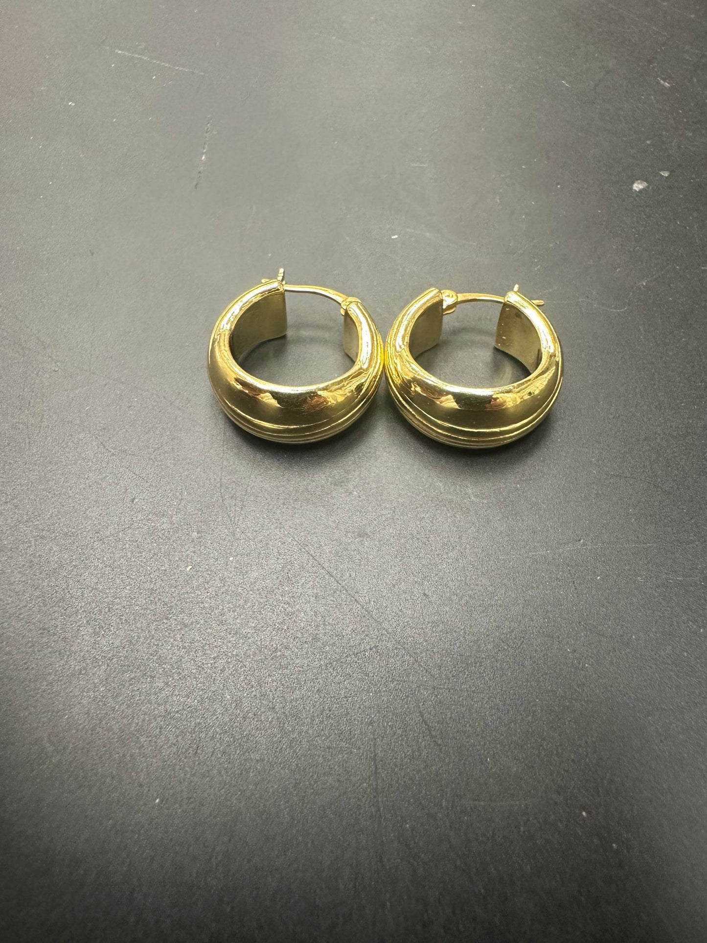 Sterling Silver Round Earring Gold Plated ECZ100105