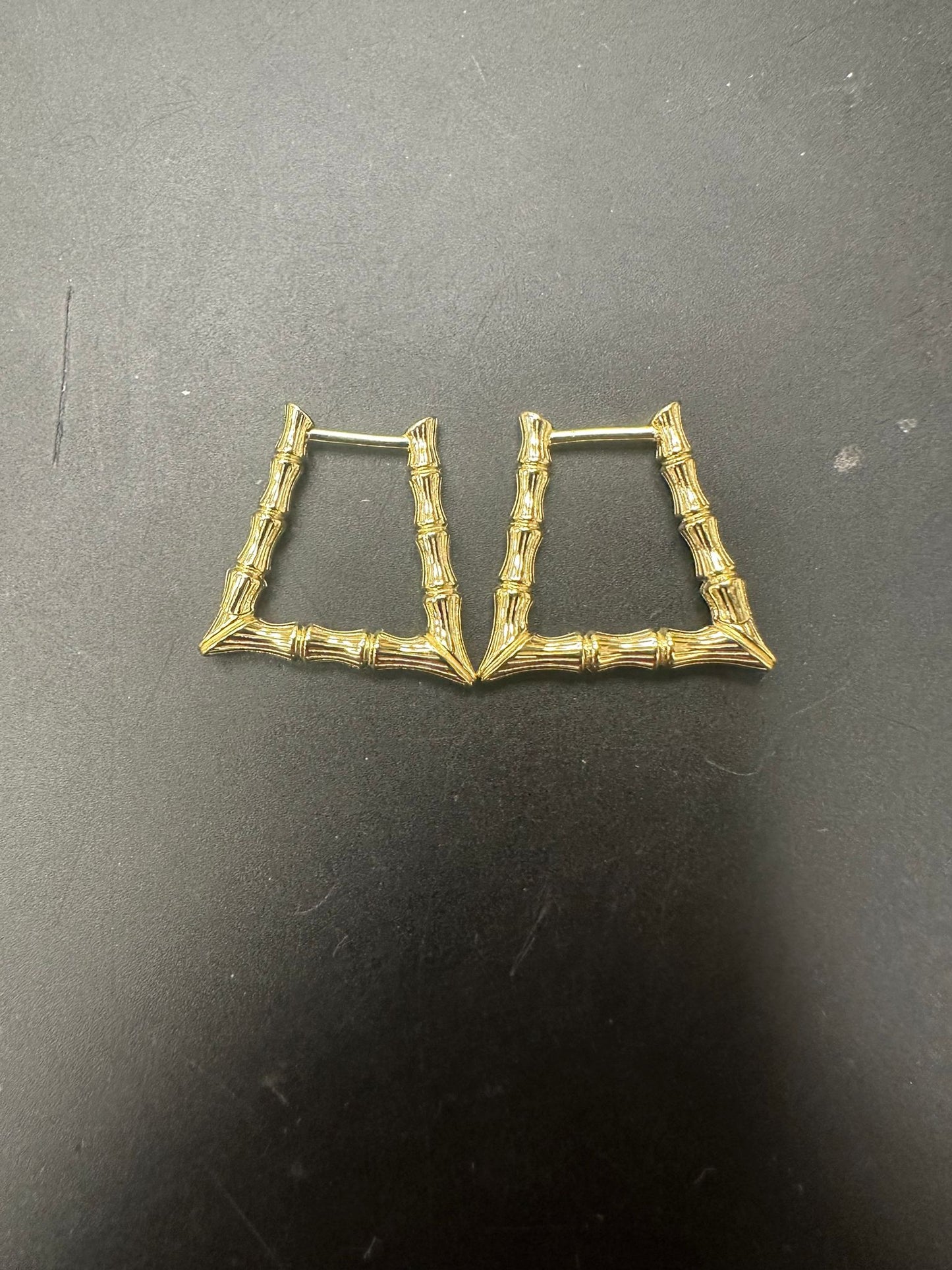 Sterling Silver Earring ECZ100107