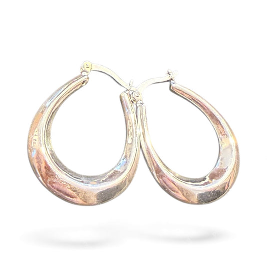 Sterling Silver Plain Earring ECZ100115