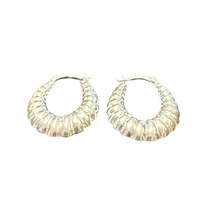 Sterling Silver Earring ECZ100119