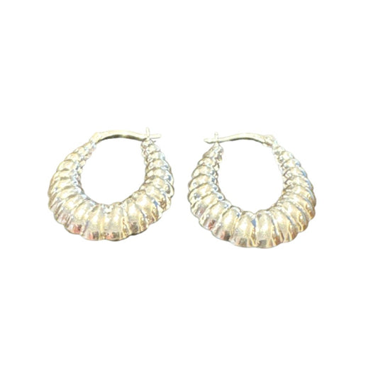 Sterling Silver Earring ECZ100119