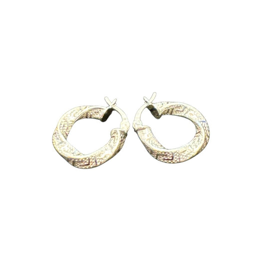 Sterling Silver Earring ECZ100121
