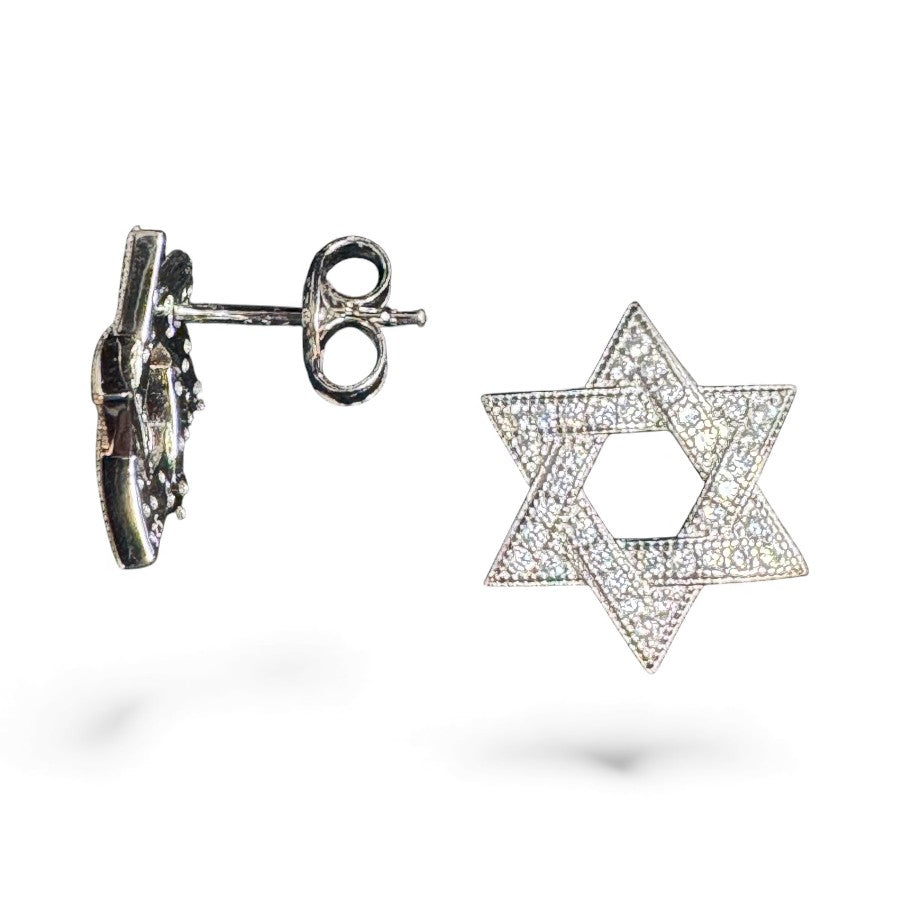 Sterling Silver Star Earring CZ Stone ECZ9702