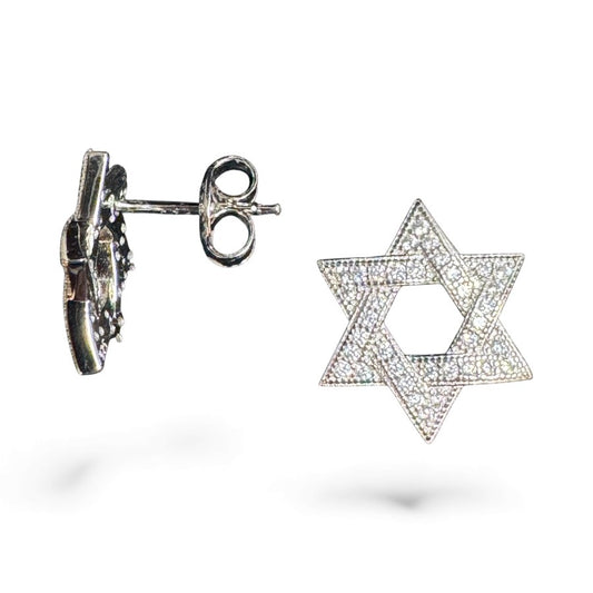 Sterling Silver Star Earring CZ Stone ECZ9702