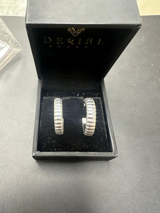 Sterling Silver Earring EP100111
