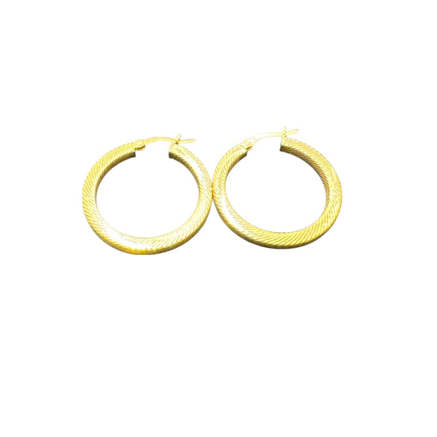 Sterling Silver Round Earring Gold Plated EP3327