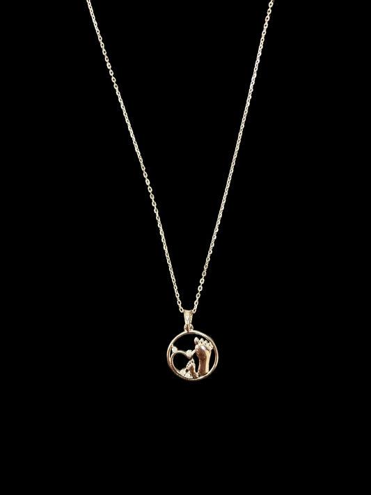 Sterling Silver Necklace CZ Stone NCZ9556