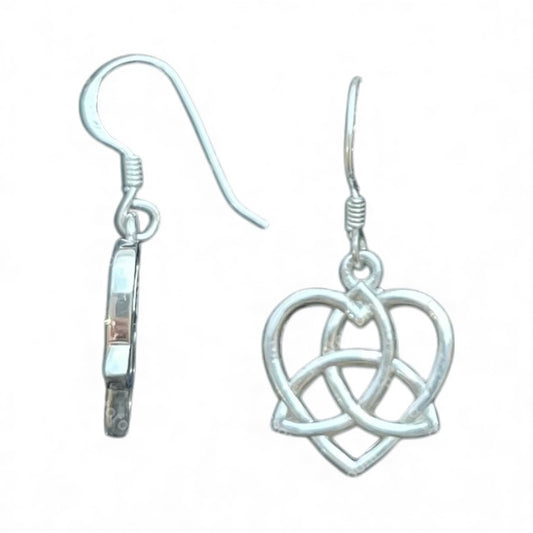 Sterling Silver Plain Earring PE010010290
