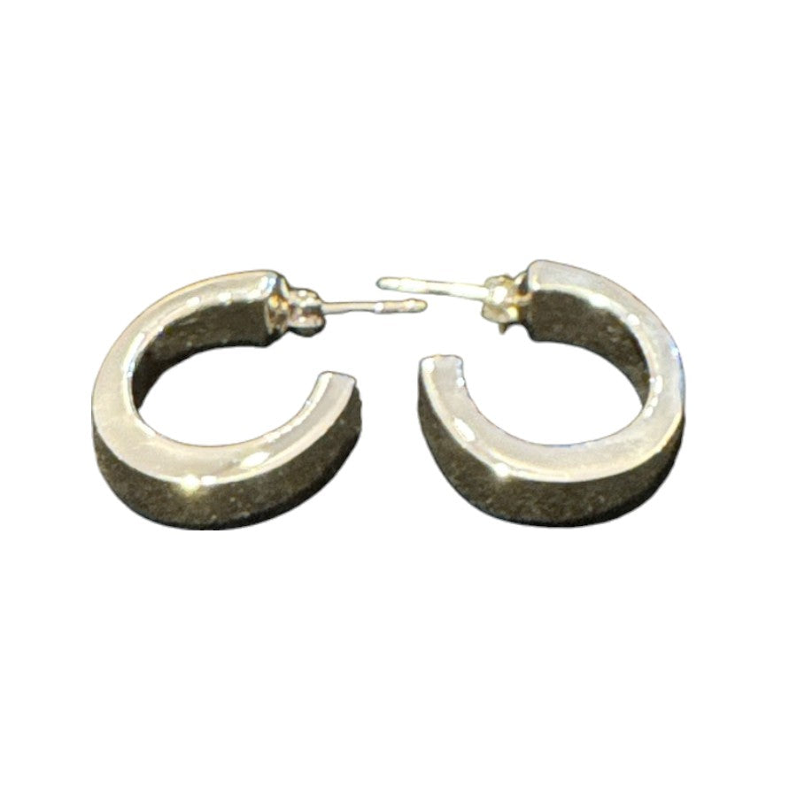 Sterling Silver Round Earring PE010280062