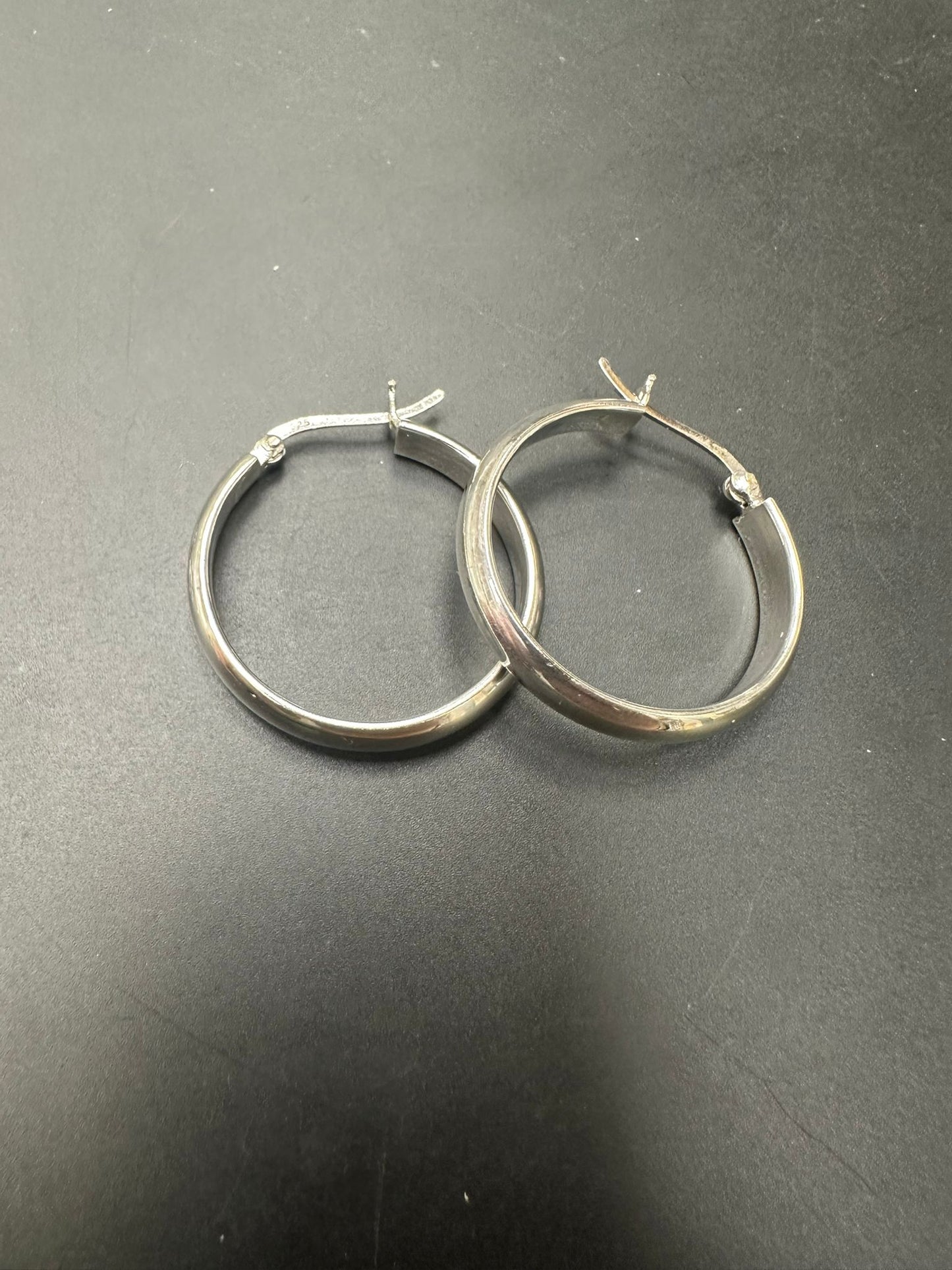 Sterling Silver Round Hoop Earring PE010410054