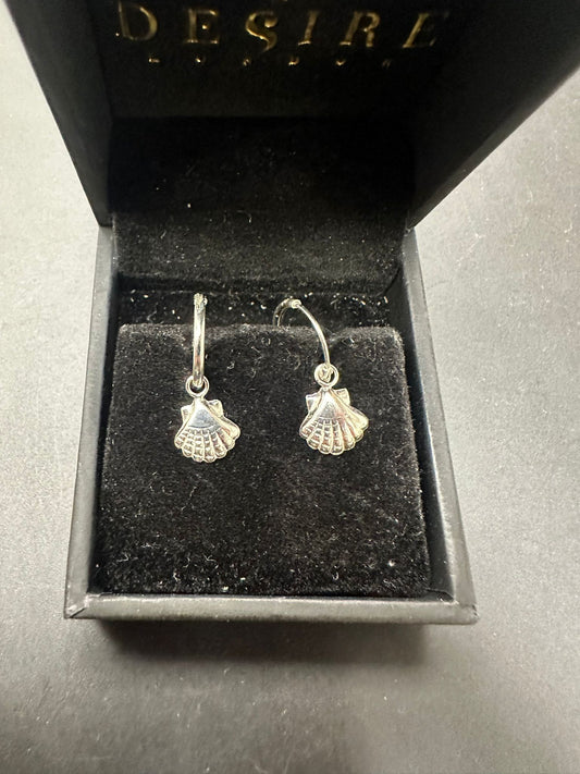Sterling Silver Plain Earring PE019250520