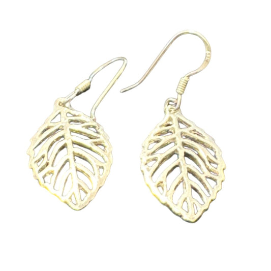 Sterling Silver Plain Earring PE020180255