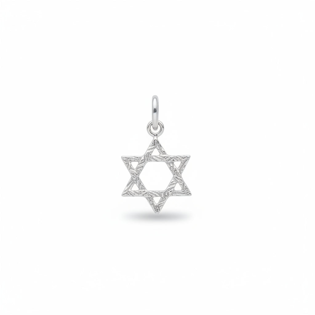 Sterling Silver Star of David Pendant PP10218 displayed on a plain background.