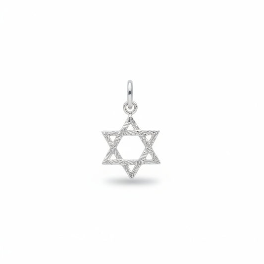 Sterling Silver Star of David Pendant PP10218 displayed on a plain background.